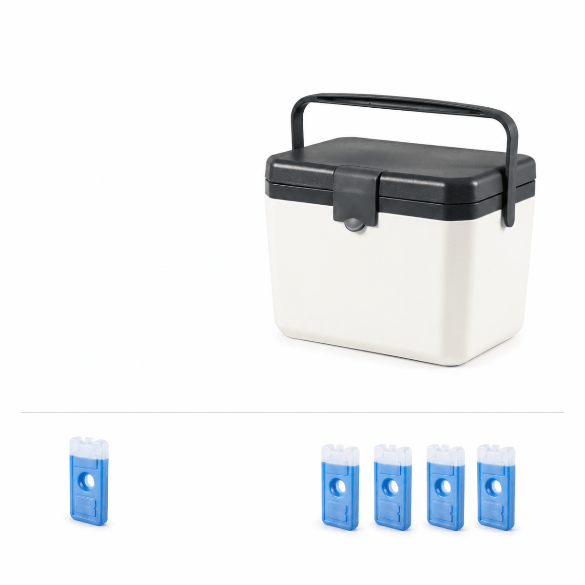 Insulated Cooler for Camping and Outdoor Activities