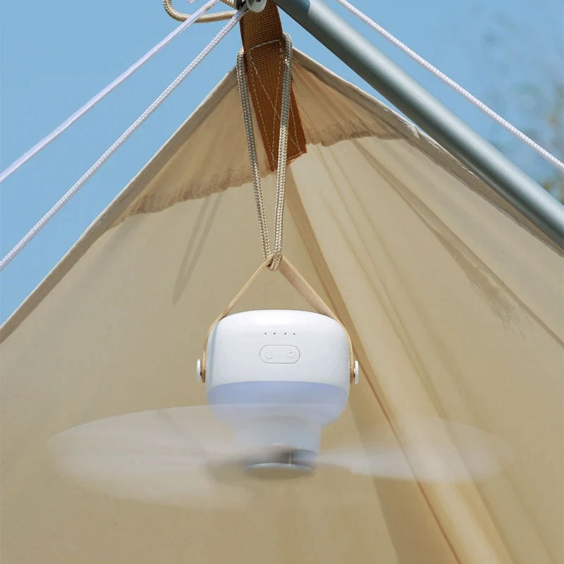 Compact Ceiling Fan