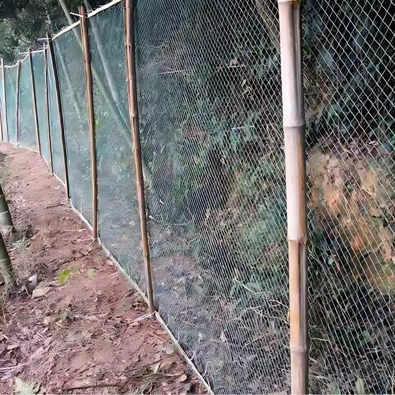 Premium Garden Net | UV Resistant & Tear Resistant | Versatile Plant Protection | Custom Sizes Available