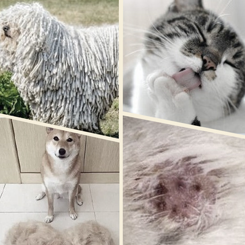 Gentle Coat Care Brush