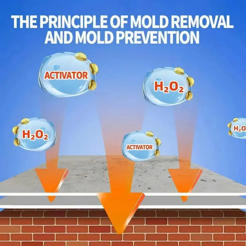 Mold Removal Spray - Effectively Eliminate Stubborn Mold and Sustainably Safeguard Your Home