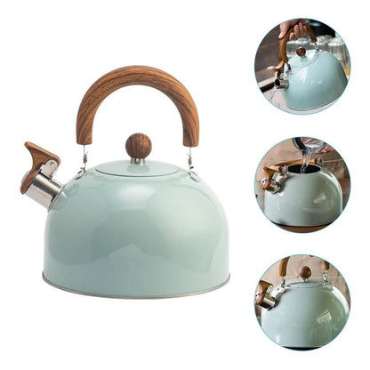 Classic 3L Whistling Kettle with Elegant Design
