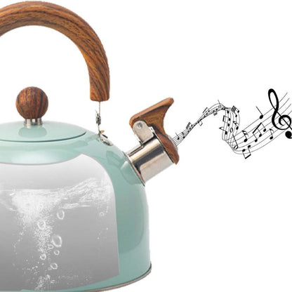 Classic 3L Whistling Kettle with Elegant Design
