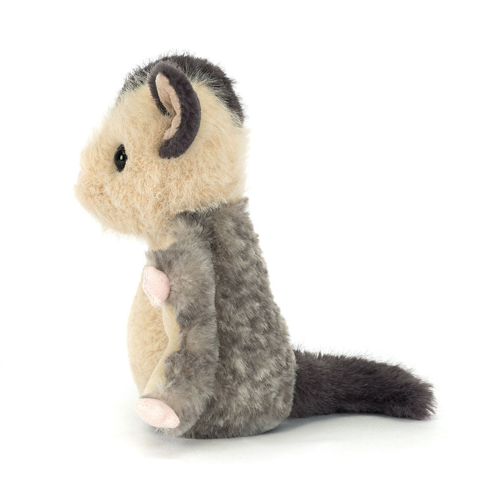 Lolly Sugar Glider