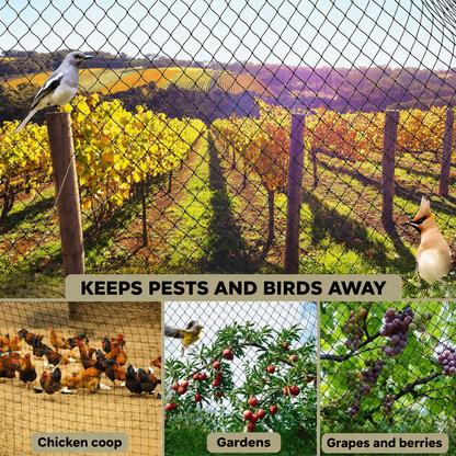 Premium Garden Net | UV Resistant & Tear Resistant | Versatile Plant Protection | Custom Sizes Available