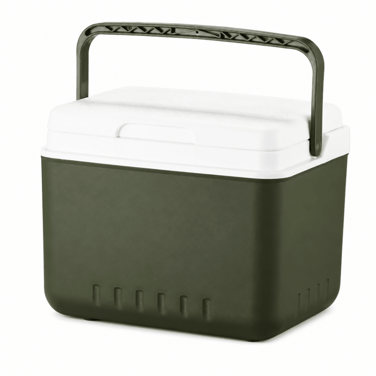 Portable Cool Box for Hot and Cold Food on the Go