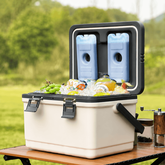 Insulated Cooler for Camping and Outdoor Activities