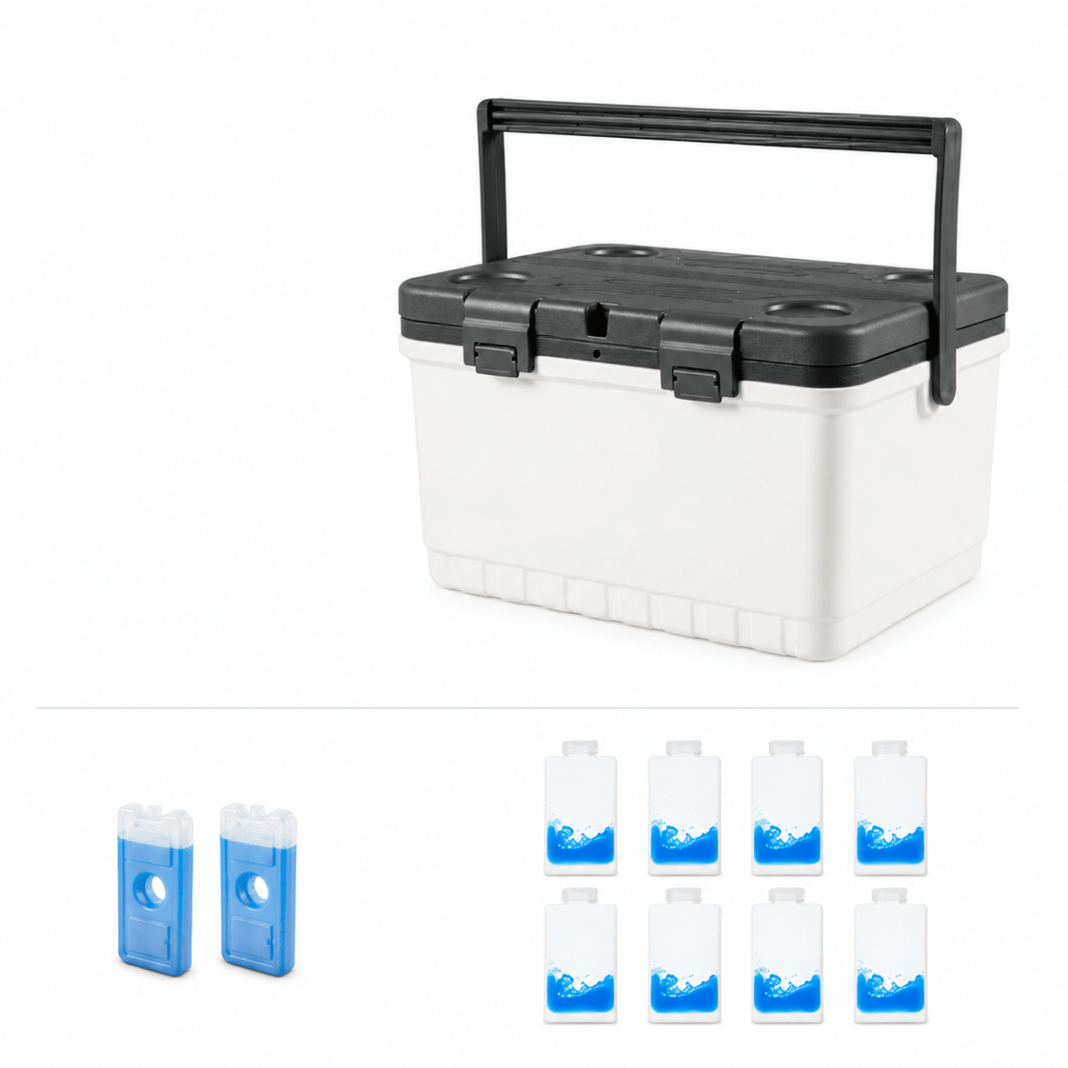 Insulated Cooler for Camping and Outdoor Activities