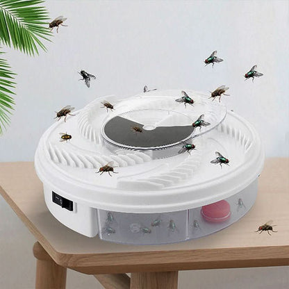 Silent, Eco-Friendly Fly Catcher for Kitchen, Living Room, and Garden