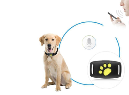 GPS Tracker for Cats – Real-Time Location Tracking Without Subscription