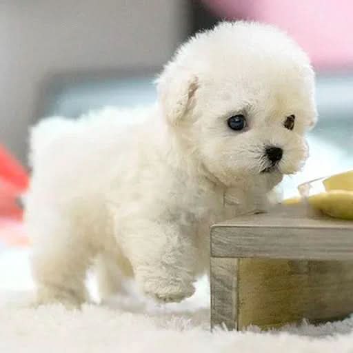 Movable Plush Dog for Children - Perfect for Playful Cuddling Fun