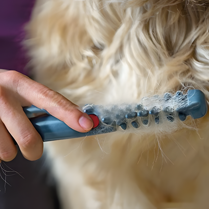 Say Goodbye to Knots and Tangles for Your Pet