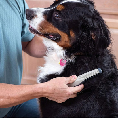 Say Goodbye to Knots and Tangles for Your Pet