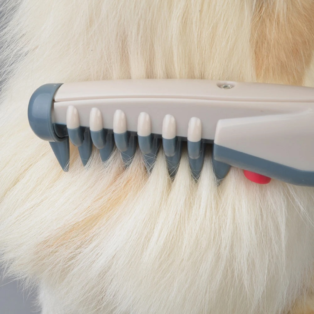 Say Goodbye to Knots and Tangles for Your Pet