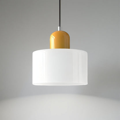 Modern Iron and Glass Pendant Ceiling Light