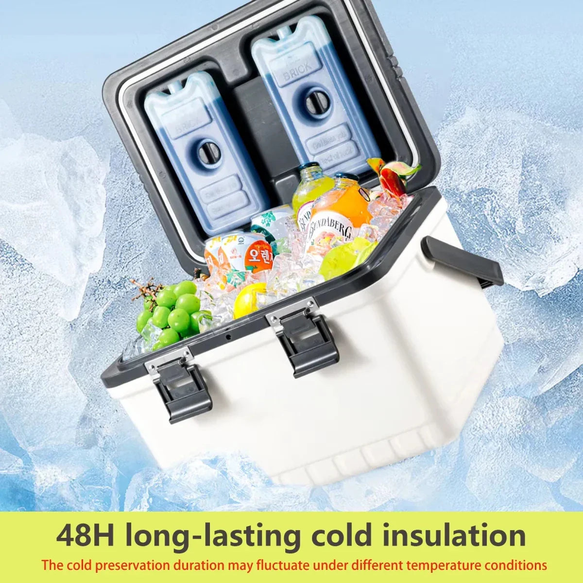 Insulated Cooler for Camping and Outdoor Activities