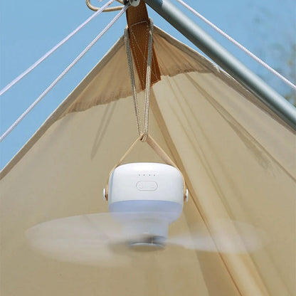 Compact Ceiling Fan