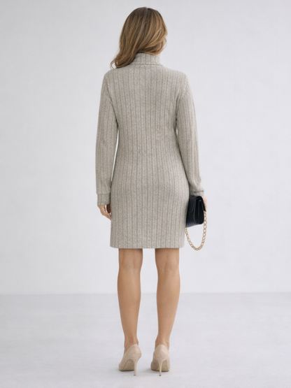 Women's Turtleneck Mini Sweater Dress | Long Sleeve