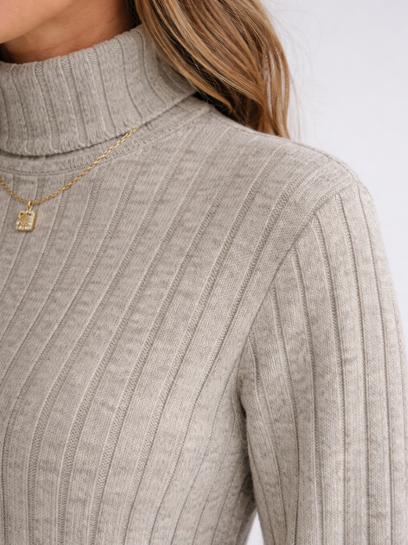 Women's Turtleneck Mini Sweater Dress | Long Sleeve