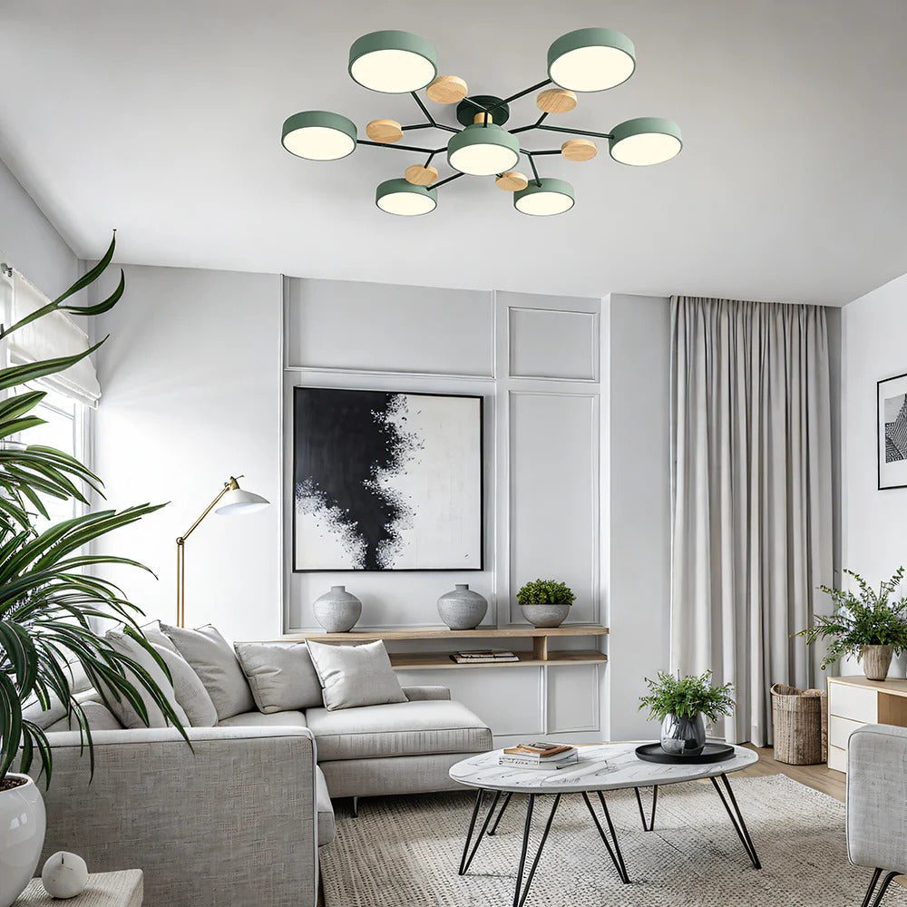 Contemporary LED Acrylic Iron Ceiling Light for Living Room