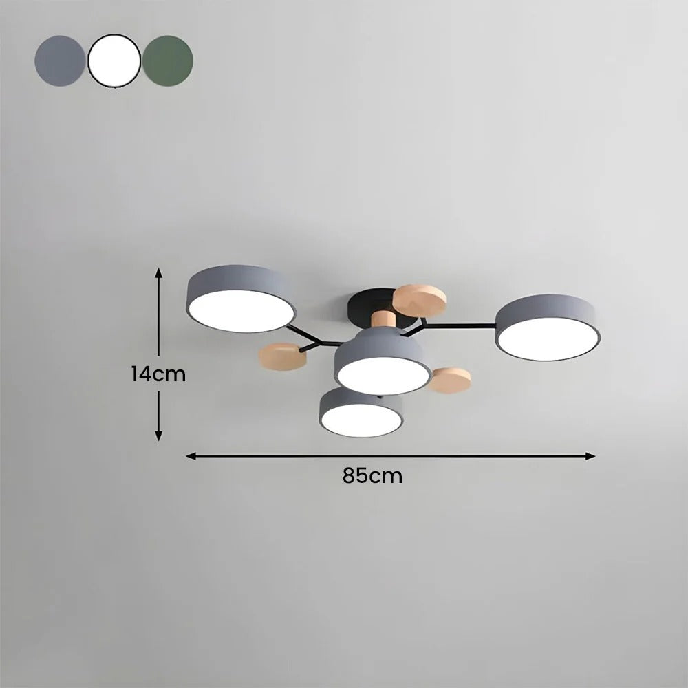 Contemporary LED Acrylic Iron Ceiling Light for Living Room