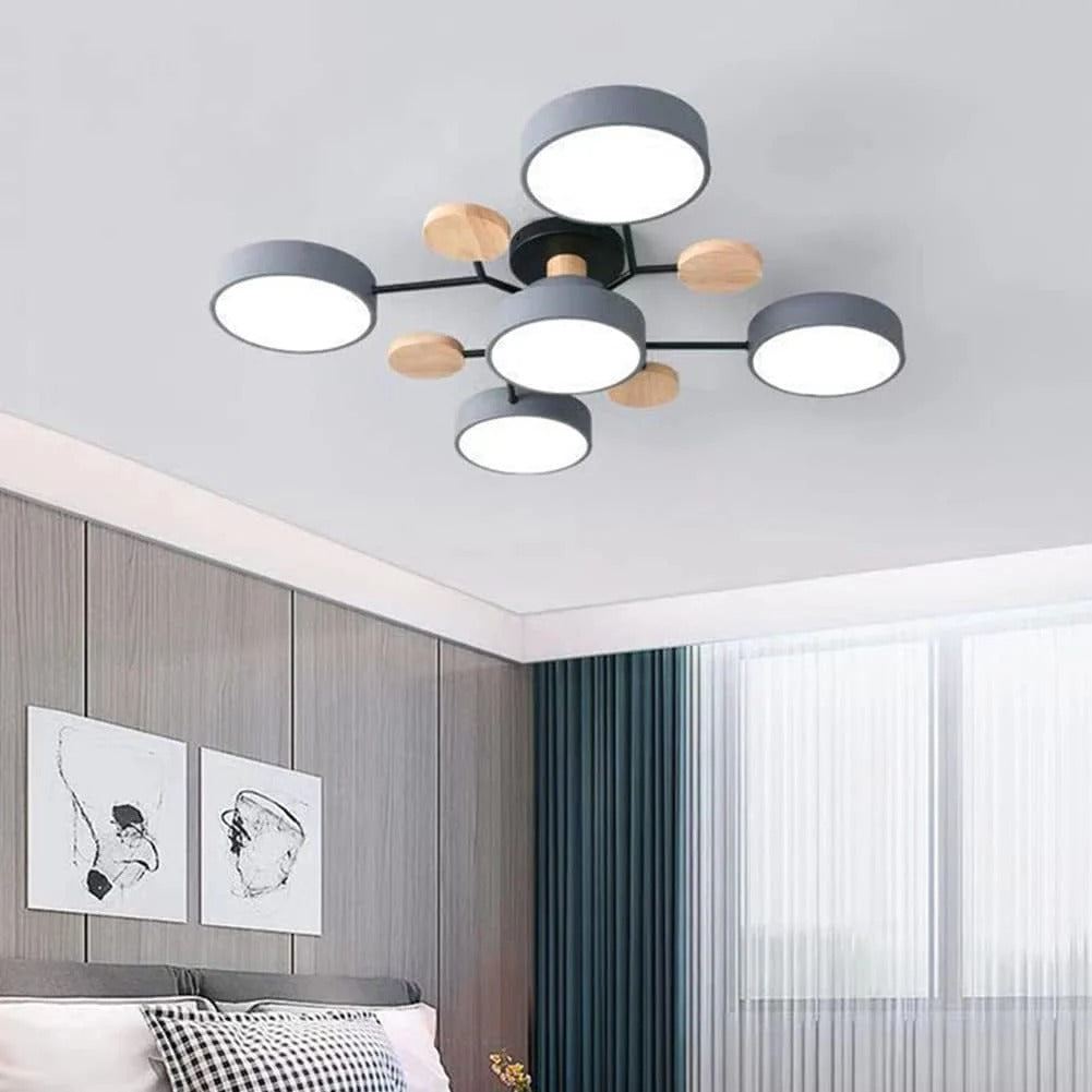 Contemporary LED Acrylic Iron Ceiling Light for Living Room