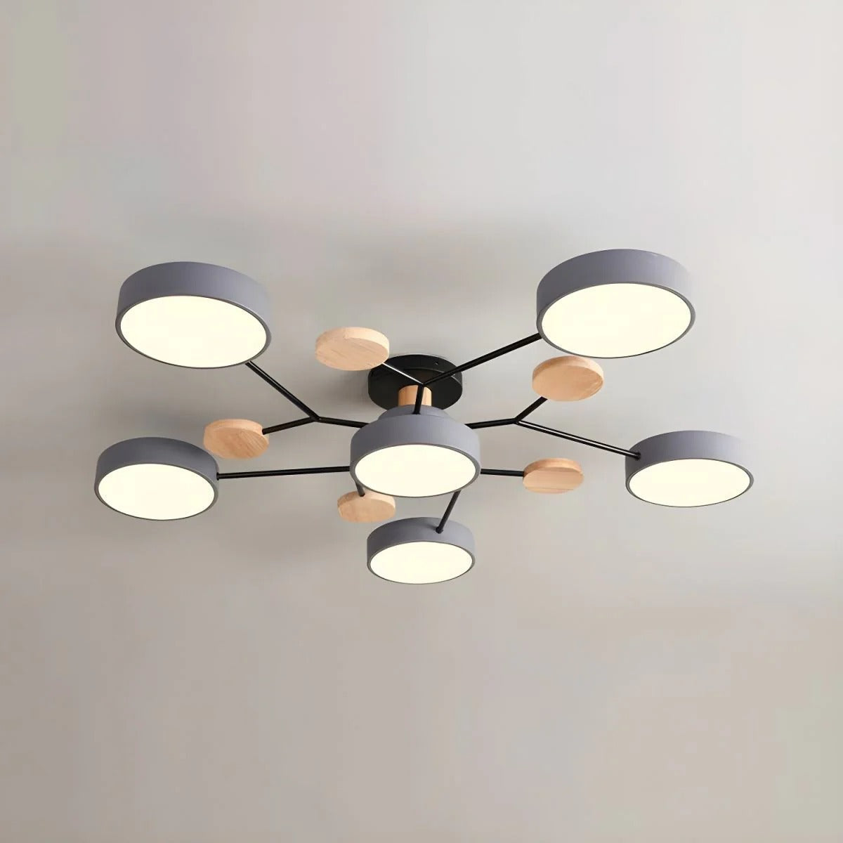 Contemporary LED Acrylic Iron Ceiling Light for Living Room