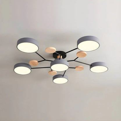 Contemporary LED Acrylic Iron Ceiling Light for Living Room