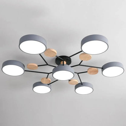 Contemporary LED Acrylic Iron Ceiling Light for Living Room