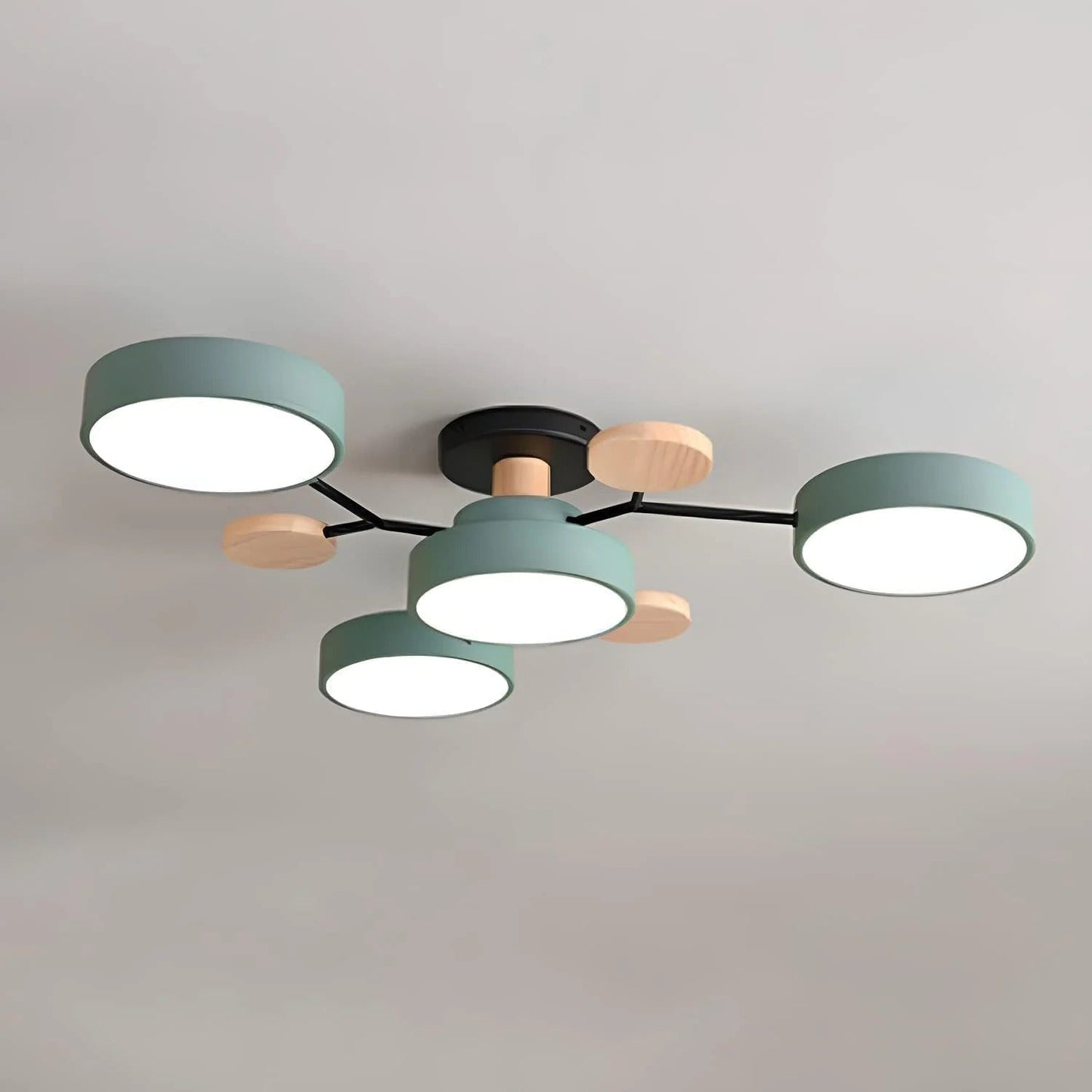 Contemporary LED Acrylic Iron Ceiling Light for Living Room