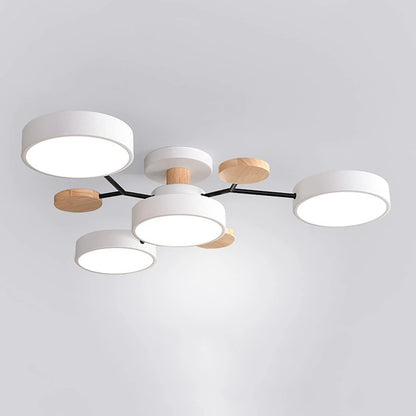 Contemporary LED Acrylic Iron Ceiling Light for Living Room