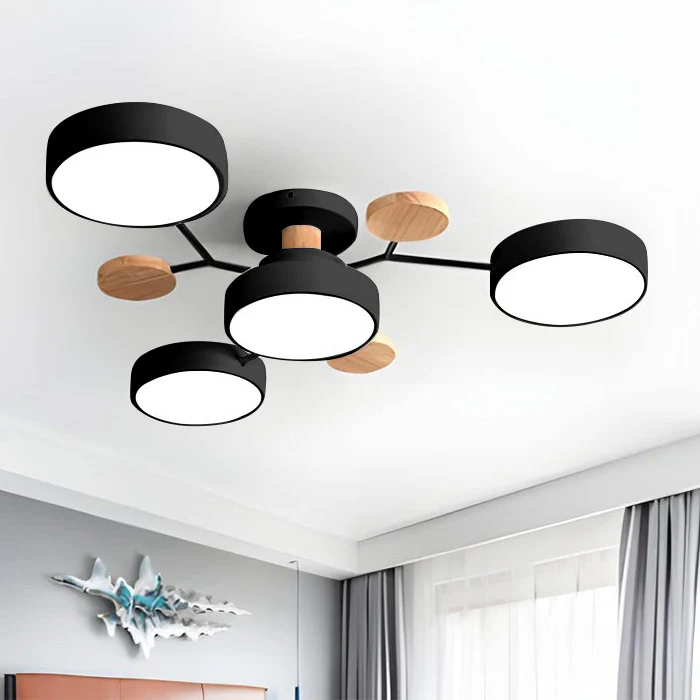 Contemporary LED Acrylic Iron Ceiling Light for Living Room