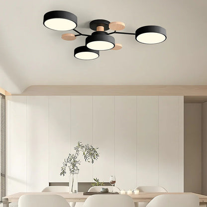 Contemporary LED Acrylic Iron Ceiling Light for Living Room