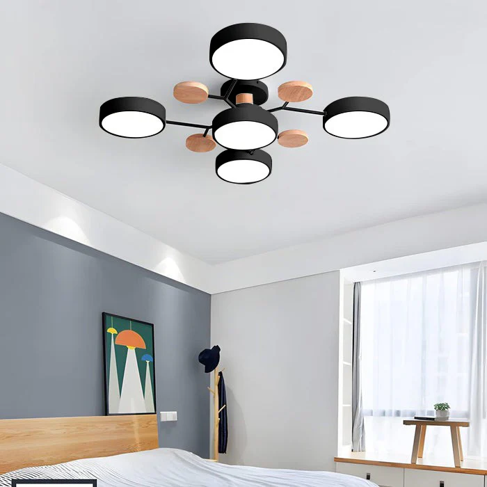 Contemporary LED Acrylic Iron Ceiling Light for Living Room