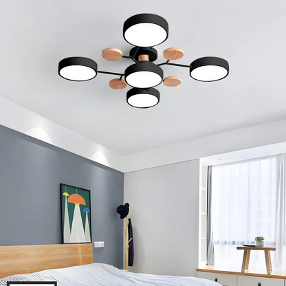 Contemporary LED Acrylic Iron Ceiling Light for Living Room