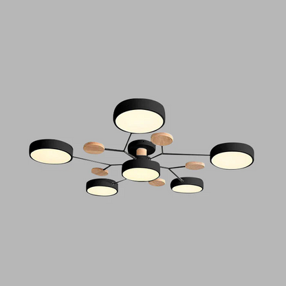 Contemporary LED Acrylic Iron Ceiling Light for Living Room