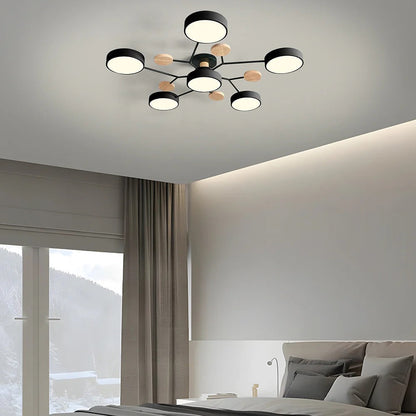 Contemporary LED Acrylic Iron Ceiling Light for Living Room