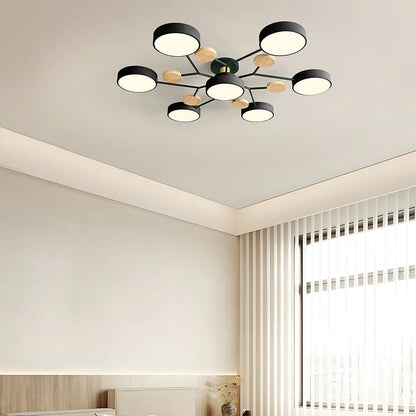 Contemporary LED Acrylic Iron Ceiling Light for Living Room