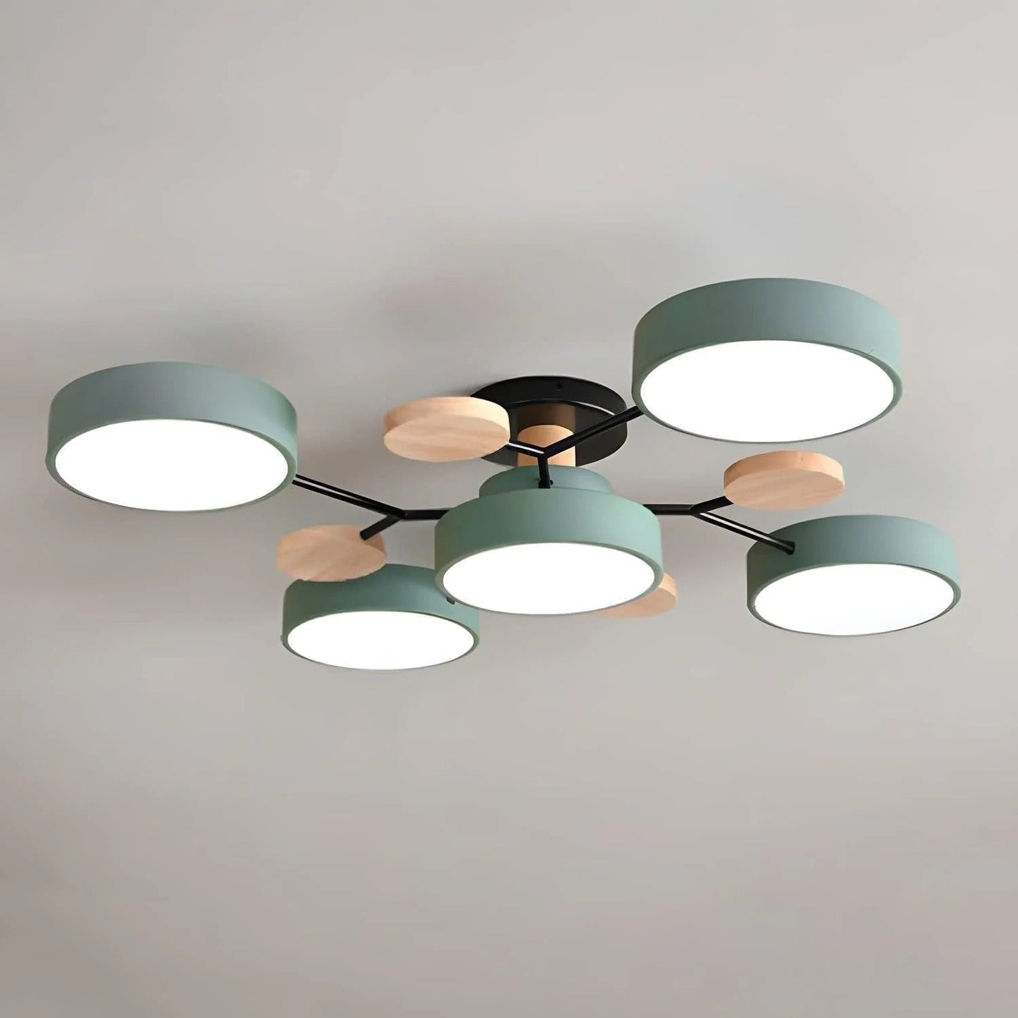 Contemporary LED Acrylic Iron Ceiling Light for Living Room