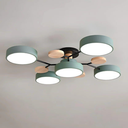 Contemporary LED Acrylic Iron Ceiling Light for Living Room