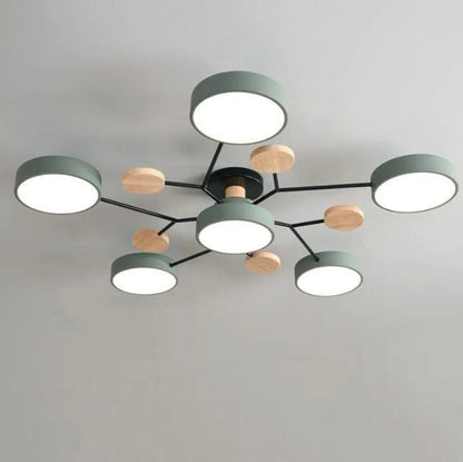 Contemporary LED Acrylic Iron Ceiling Light for Living Room
