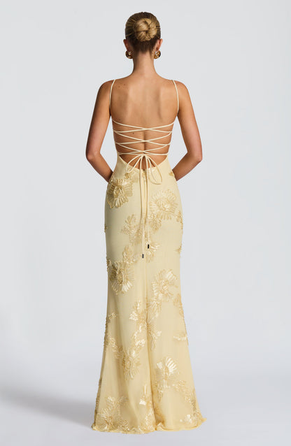 Women's Corset Maxi Dress | Backless