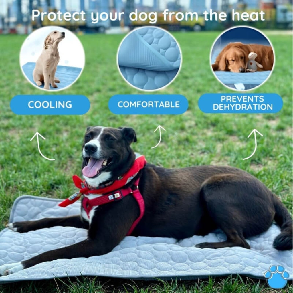 Portable Cooling Mat for Dogs