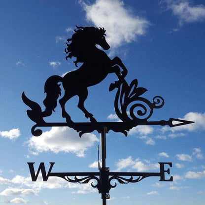 Eccentric Weather Vane for the Garden